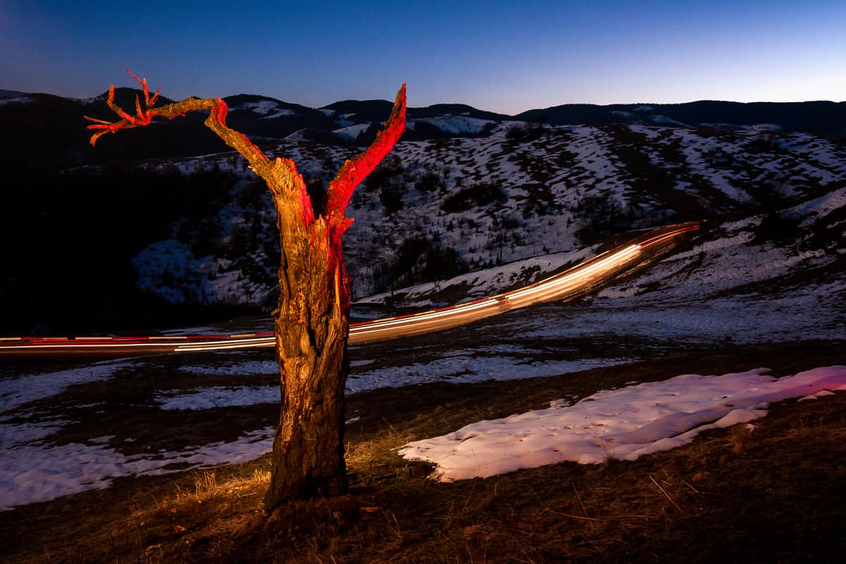 secretele unei fotografii reușite din experiența a nouă fotografi din sibiu