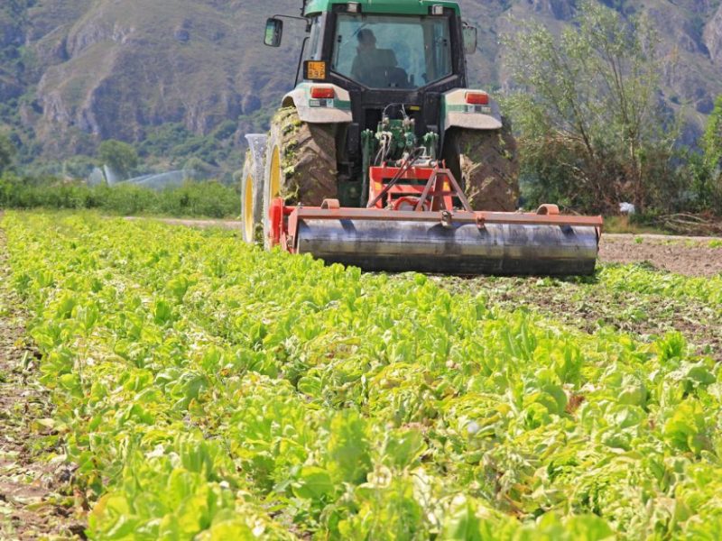 bani de la stat pentru companiile din agricultură afectate de covid și de războiul din ucraina