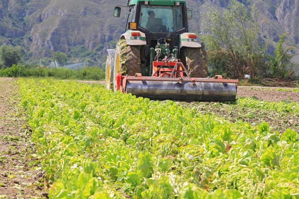 facilități fiscale pentru angajații din agricultură și industria alimentară