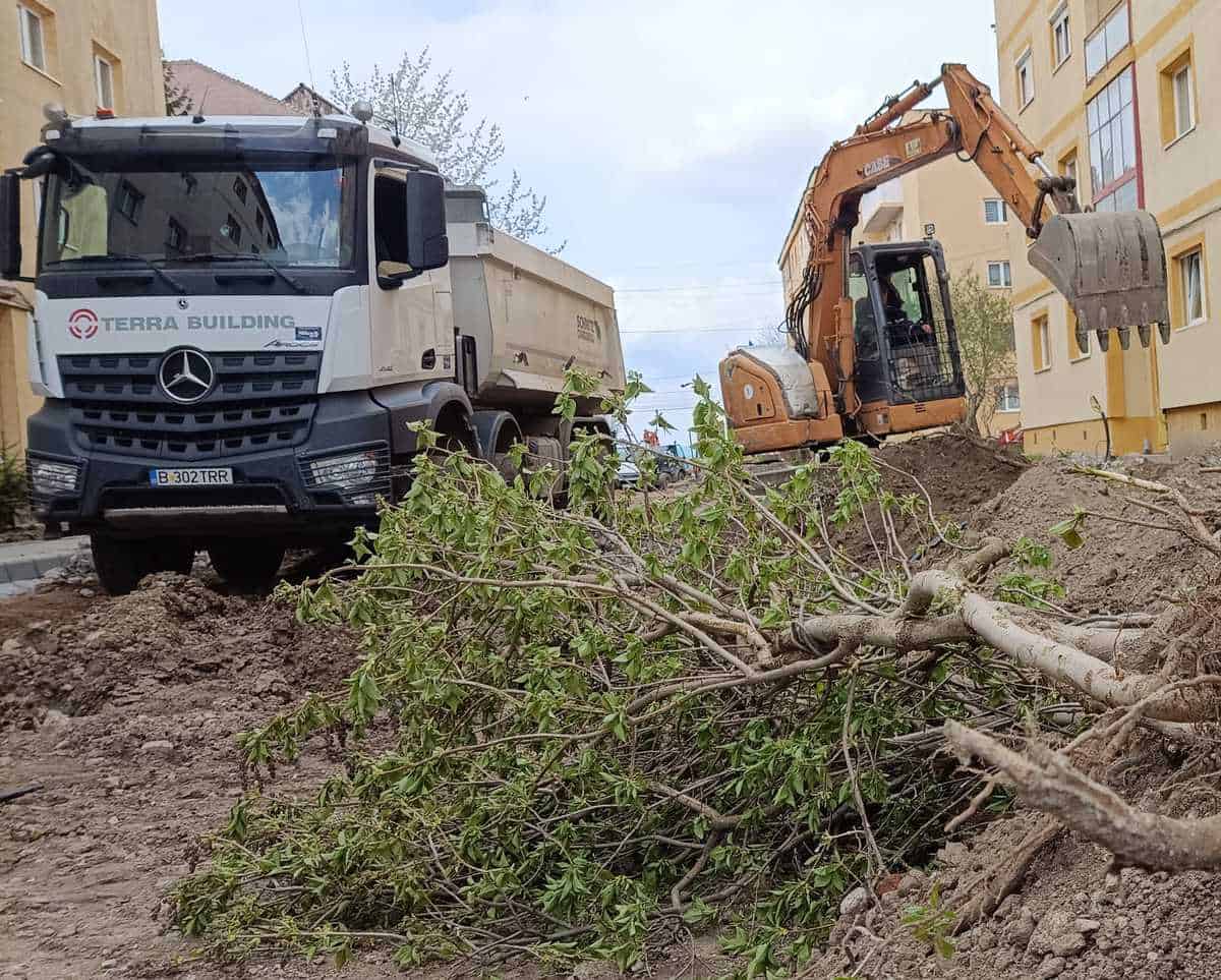 video copaci lichidați pe strada oașului, din ștrand - "nu o să mai trăim noi să vedem verdeața care a fost"