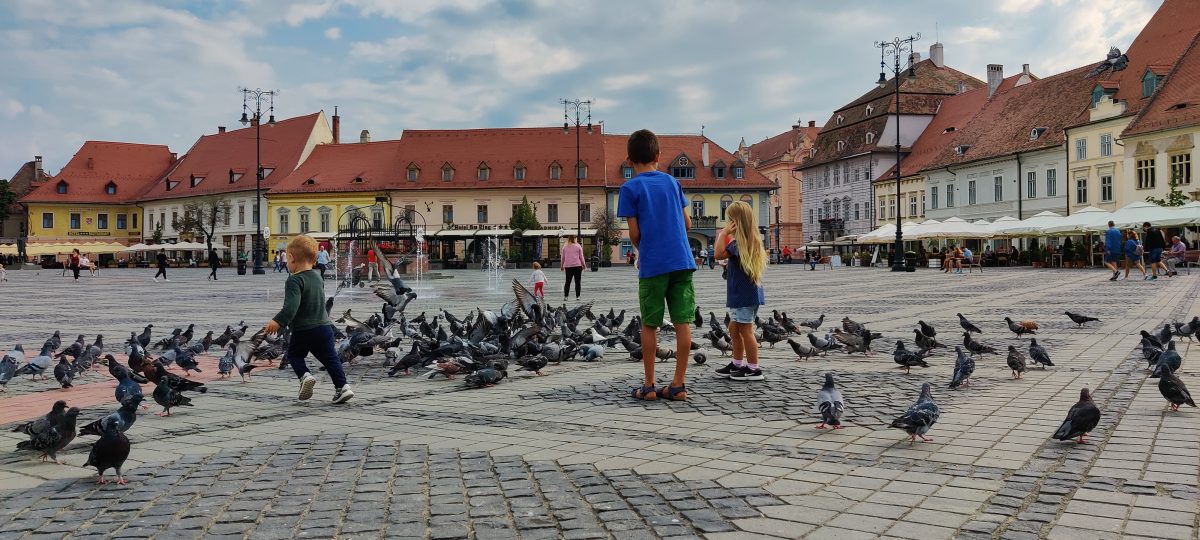 secretele unei fotografii reușite din experiența a nouă fotografi din sibiu