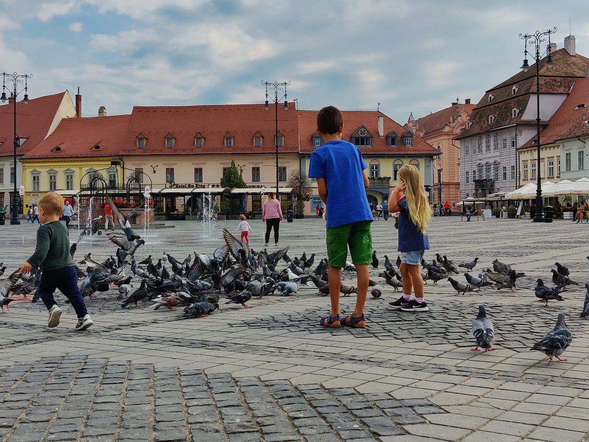 secretele unei fotografii reușite din experiența a nouă fotografi din sibiu