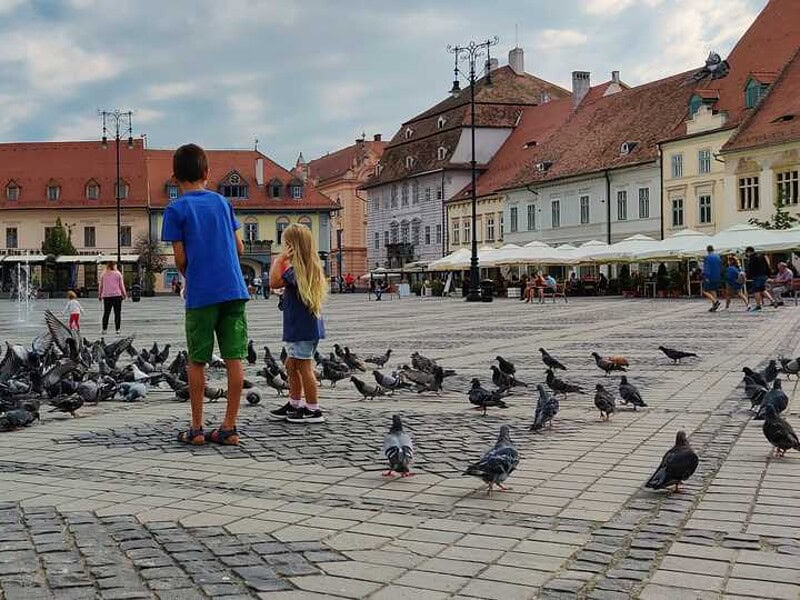 secretele unei fotografii reușite din experiența a nouă fotografi din sibiu