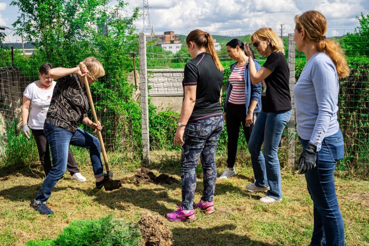 foto „săptămâna națională a voluntariatului“ la mediaș