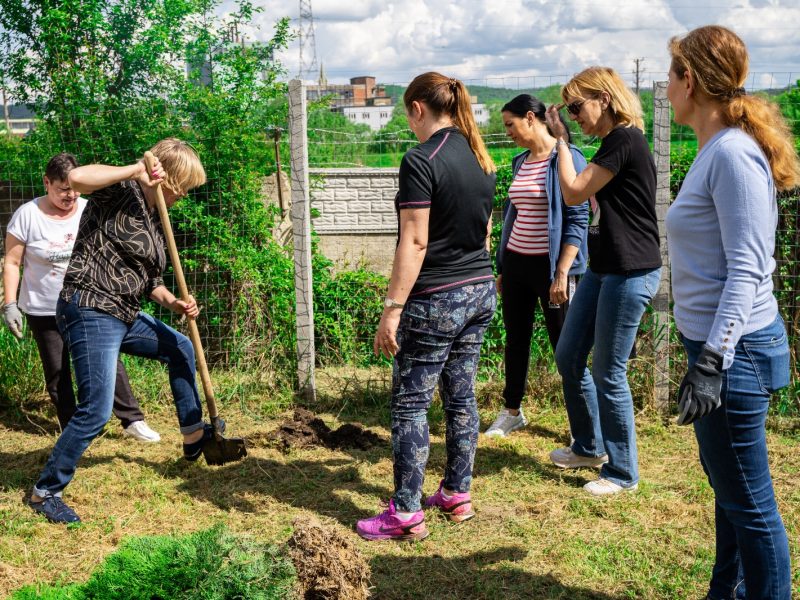 foto „săptămâna națională a voluntariatului“ la mediaș