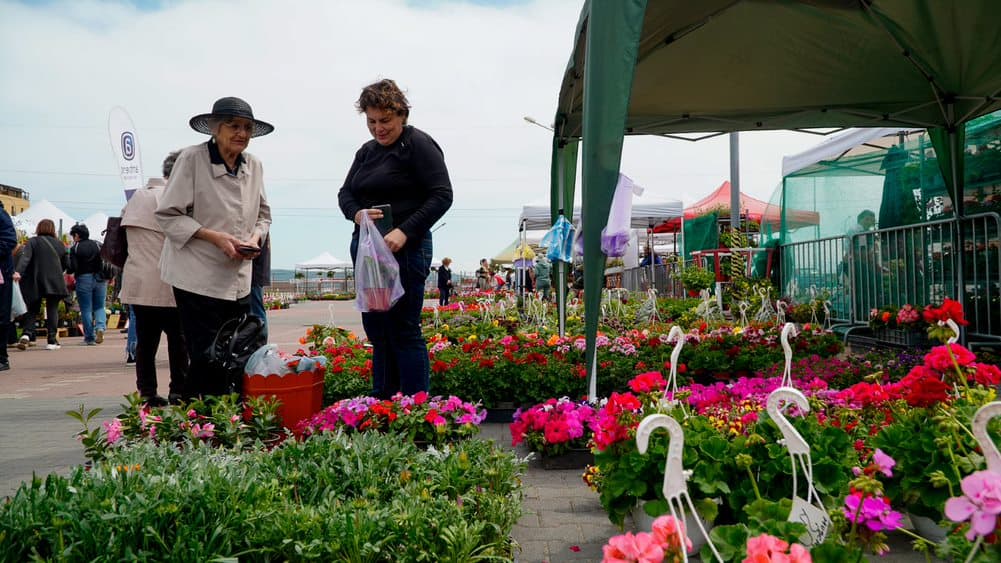 Arbuști ornamentali, lavandă și flori de sezon la Festivalul Grădinilor din Sibiu - „Am cumpărat plante de vreo 500 lei”