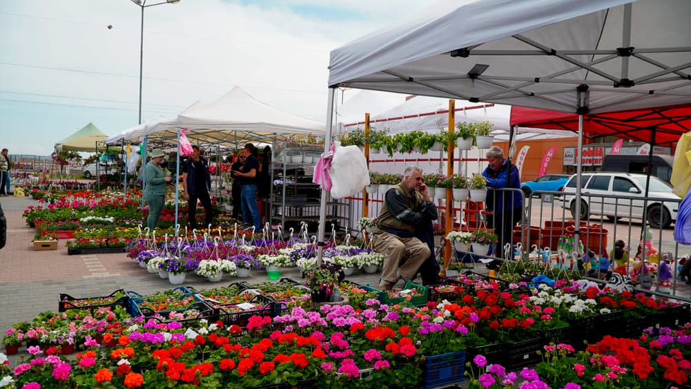 Arbuști ornamentali, lavandă și flori de sezon la Festivalul Grădinilor din Sibiu - „Am cumpărat plante de vreo 500 lei”