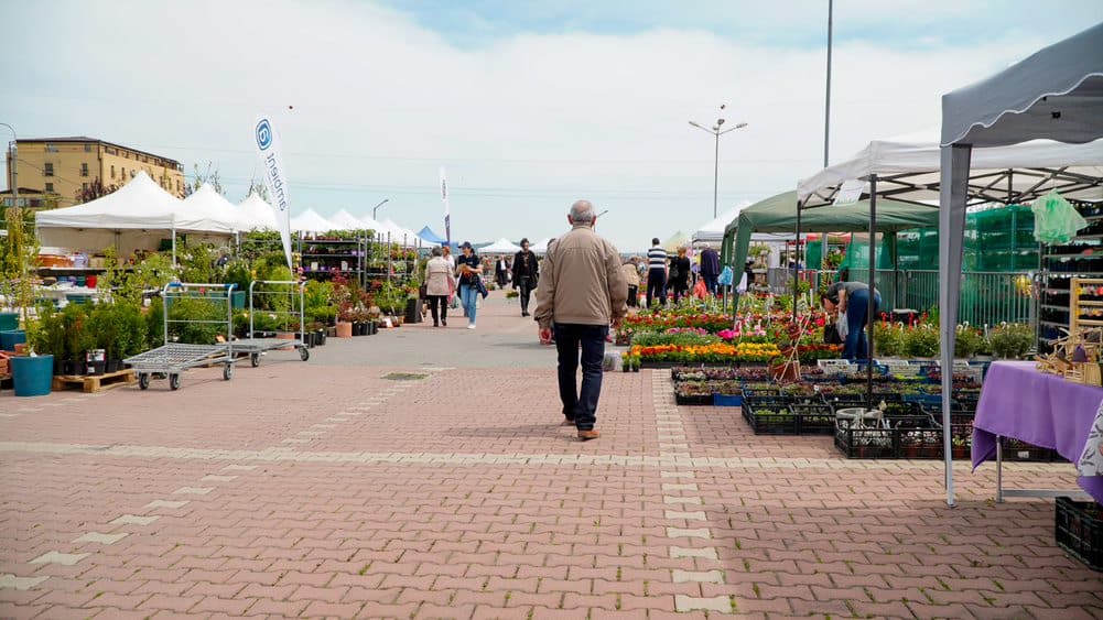 Arbuști ornamentali, lavandă și flori de sezon la Festivalul Grădinilor din Sibiu - „Am cumpărat plante de vreo 500 lei”