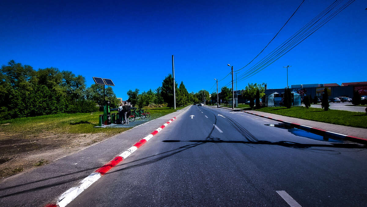 video foto se taie sălciile de pe malul cibinului - primăria: ”doar pe cele bătrâne și bolnave”