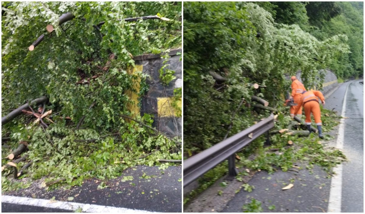 trafic blocat pe valea oltului din cauza unui copac căzut pe carosabil