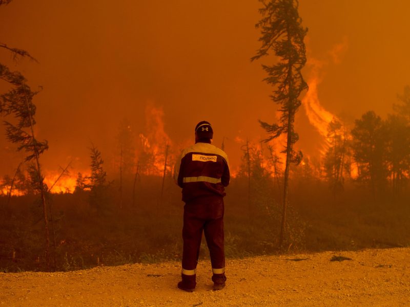 video siberia cuprinsă de flăcări - sute de case distruse și cel puțin cinci persoane au murit