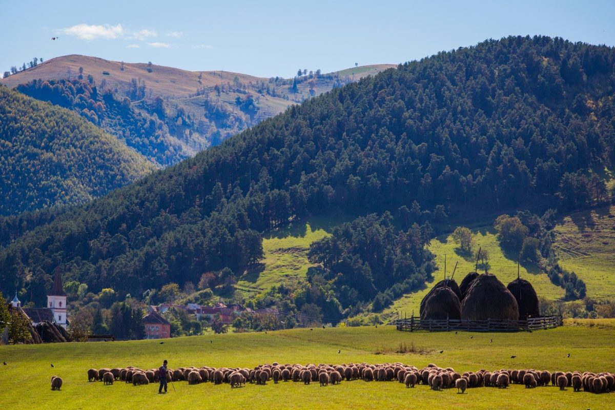 ,,guvernanță și finanțare în arii naturale protejate’’, eveniment găzduit de primăria rășinari în cadrul platformei de învățare a programului interreg europe