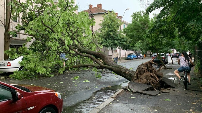 foto furtuna a făcut ravagii în capitală - case inundate, copacii rupți și zeci de mașini avariate