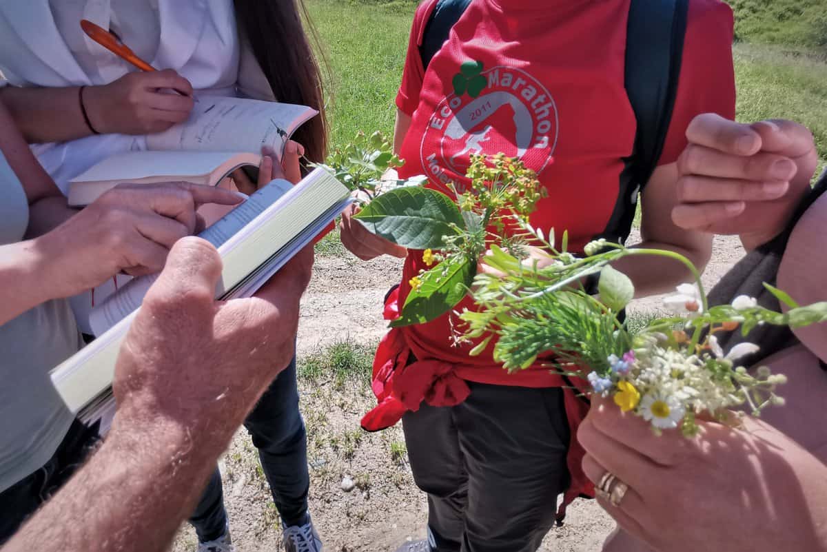 cadre didactice şi ghizi de turism învaţă metode creative de explorare responsabilă a naturii