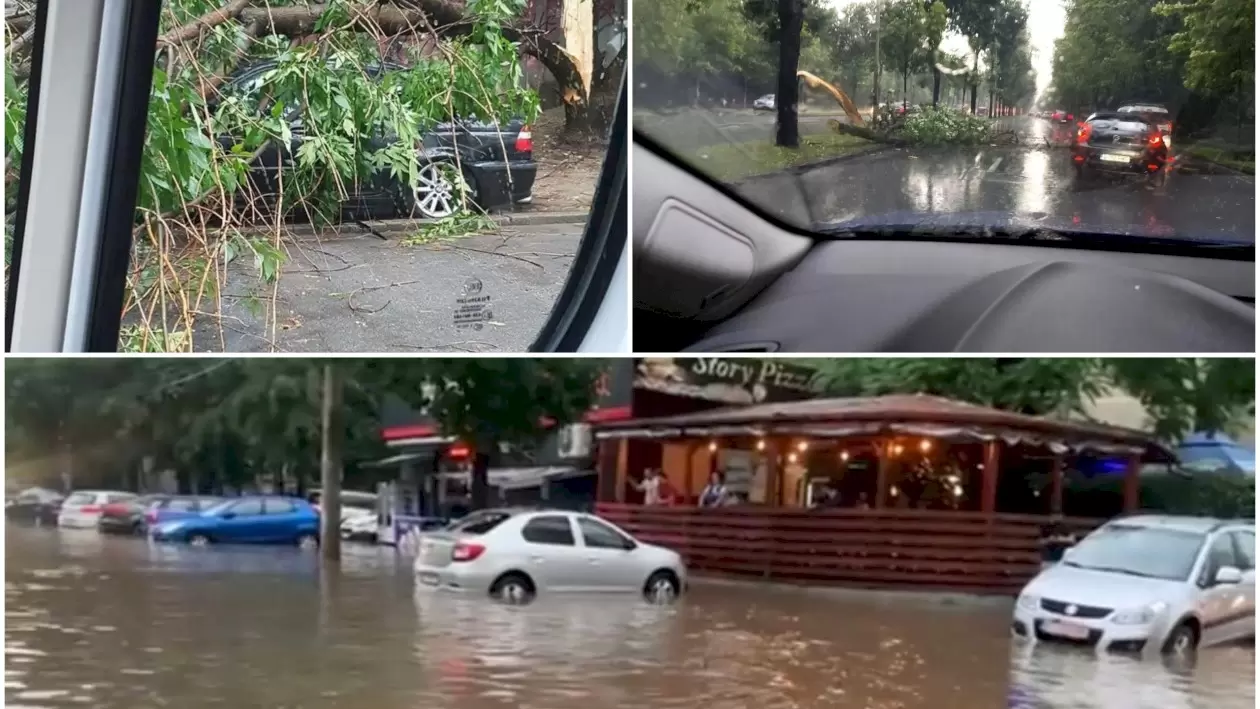 FOTO Furtuna a făcut ravagii în Capitală - Case inundate, copacii rupți și zeci de mașini avariate