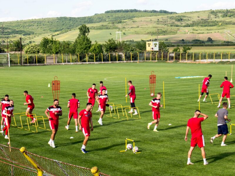 fc hermannstadt joacă vineri cu rapid bucurești – cele două echipe nu s-au întâlnit niciodată