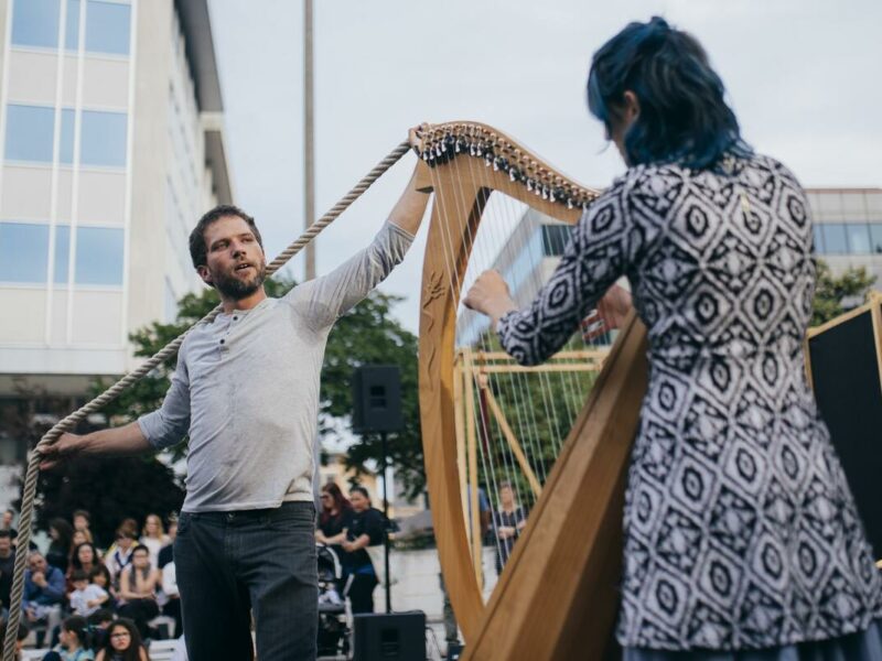 ce vedem la festival marți - circ, dans contemporan și spectacole de teatru