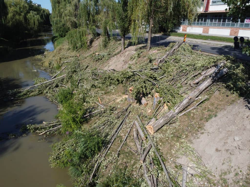 video - galerie foto malul cibinului, mai sărac în sălcii - „puteau pune în pericol circulația pe noua pistă de biciclete”