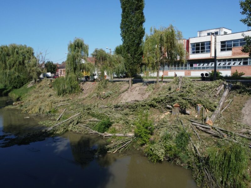 video - galerie foto malul cibinului, mai sărac în sălcii - „puteau pune în pericol circulația pe noua pistă de biciclete”