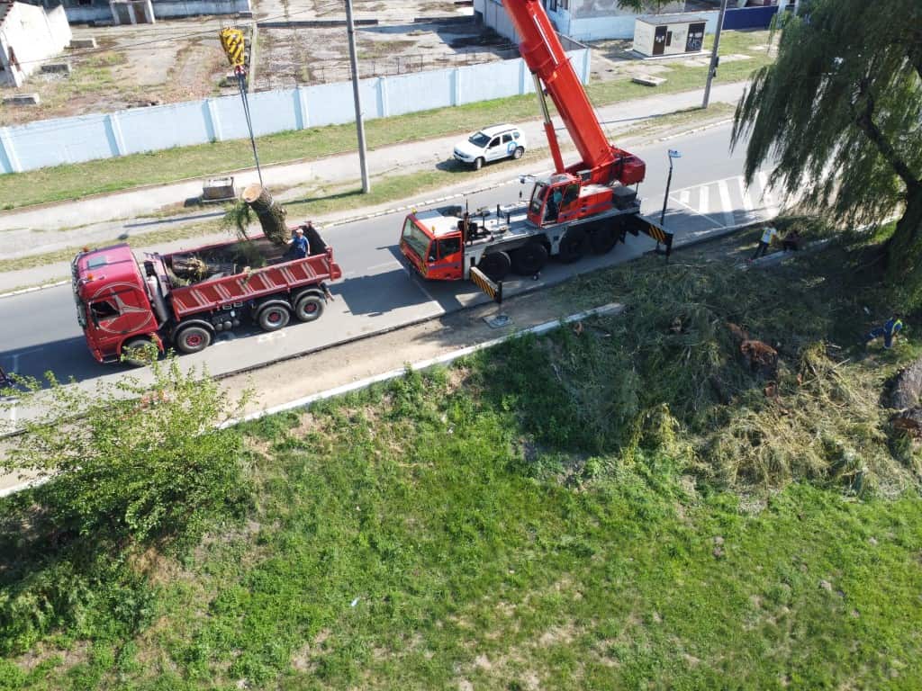 video - galerie foto malul cibinului, mai sărac în sălcii - „puteau pune în pericol circulația pe noua pistă de biciclete”