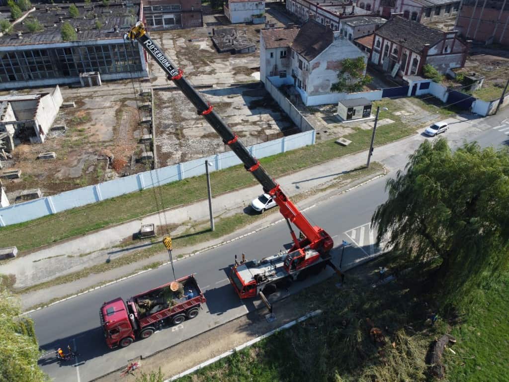 video - galerie foto malul cibinului, mai sărac în sălcii - „puteau pune în pericol circulația pe noua pistă de biciclete”