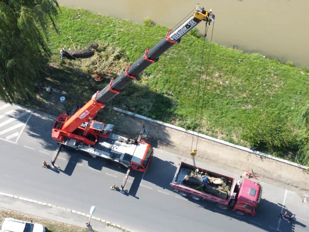 video - galerie foto malul cibinului, mai sărac în sălcii - „puteau pune în pericol circulația pe noua pistă de biciclete”