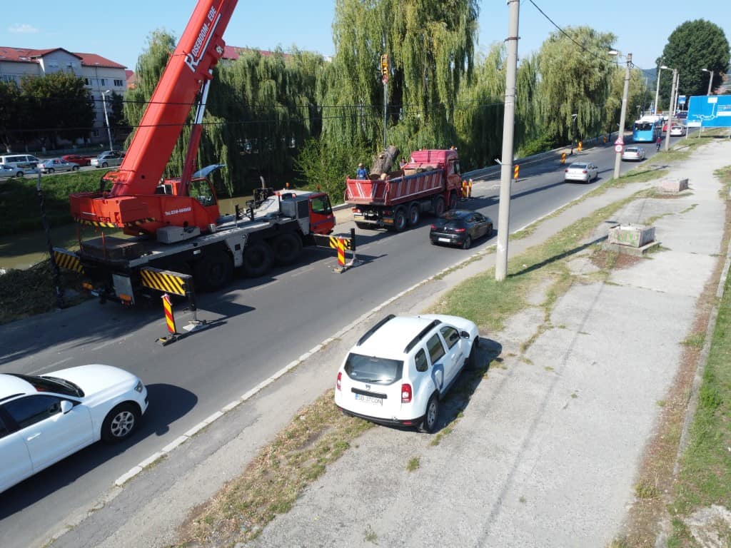 video - galerie foto malul cibinului, mai sărac în sălcii - „puteau pune în pericol circulația pe noua pistă de biciclete”