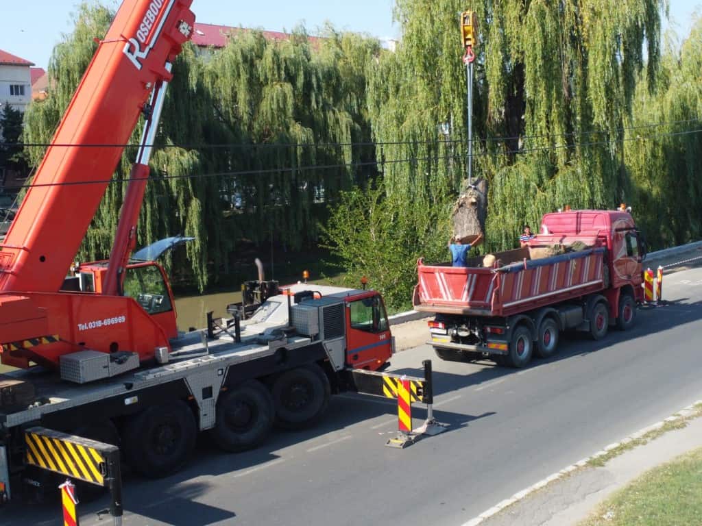 video - galerie foto malul cibinului, mai sărac în sălcii - „puteau pune în pericol circulația pe noua pistă de biciclete”