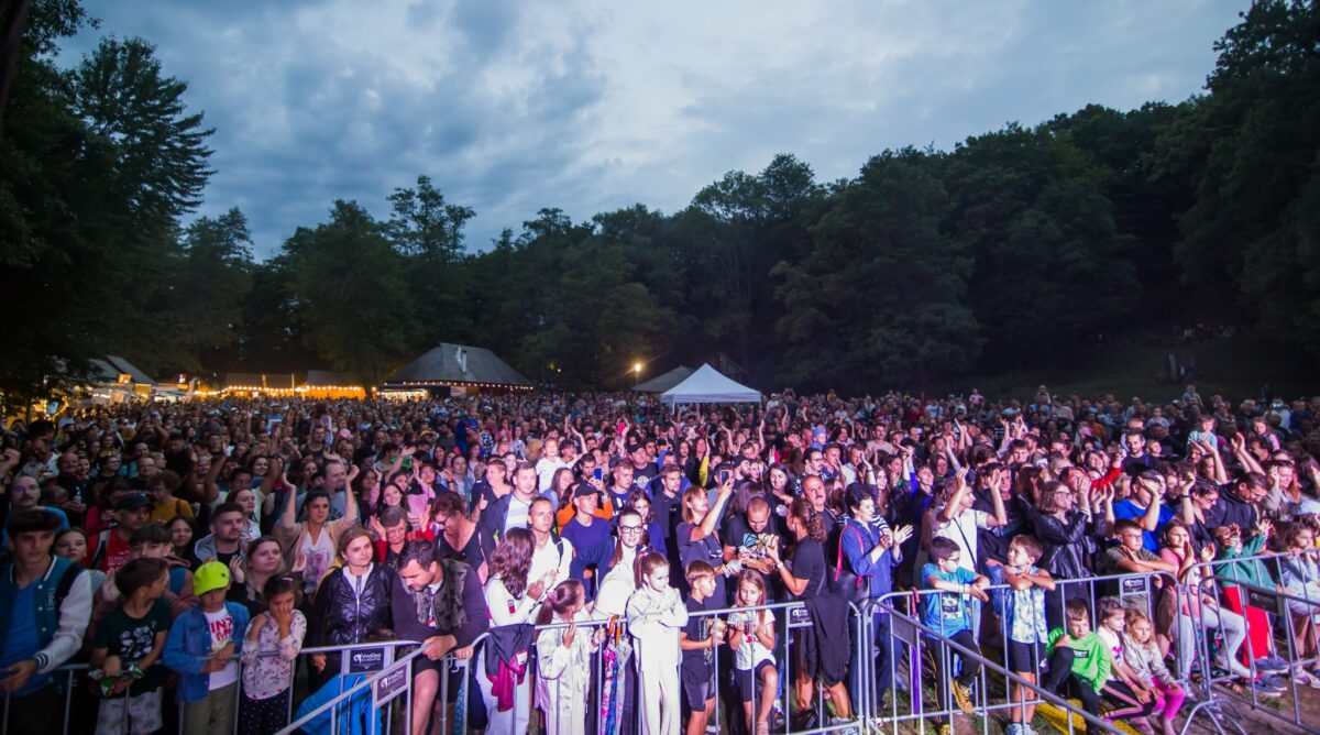 foto - vinfest, ediție de succes la muzeul astra - aproximativ 7.000 de vizitatori la festival