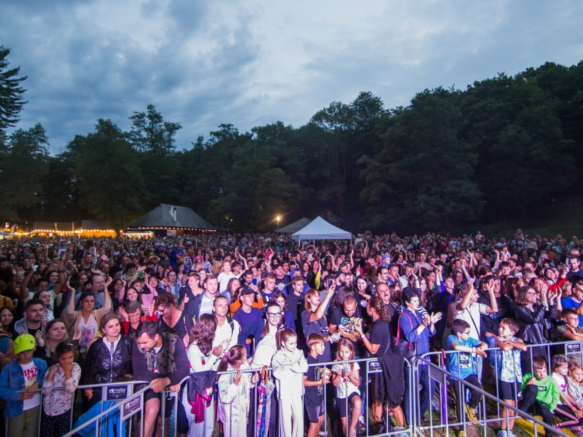 foto - vinfest, ediție de succes la muzeul astra - aproximativ 7.000 de vizitatori la festival