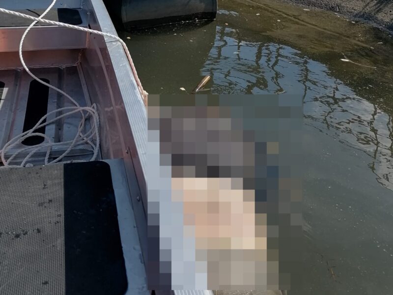 cadavru găsit în olt la călimănești - bărbatul nu a fost identificat