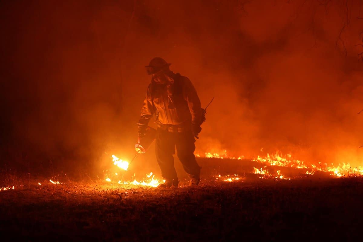 cei mai înalți copaci din lume amenințați de un incendiu devastator