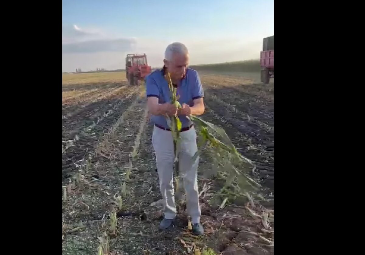 video: ministrul agriculturii, o nouă zi lângă fermierii din sibiu: “am început munca ieri la ora cinci dimineața”