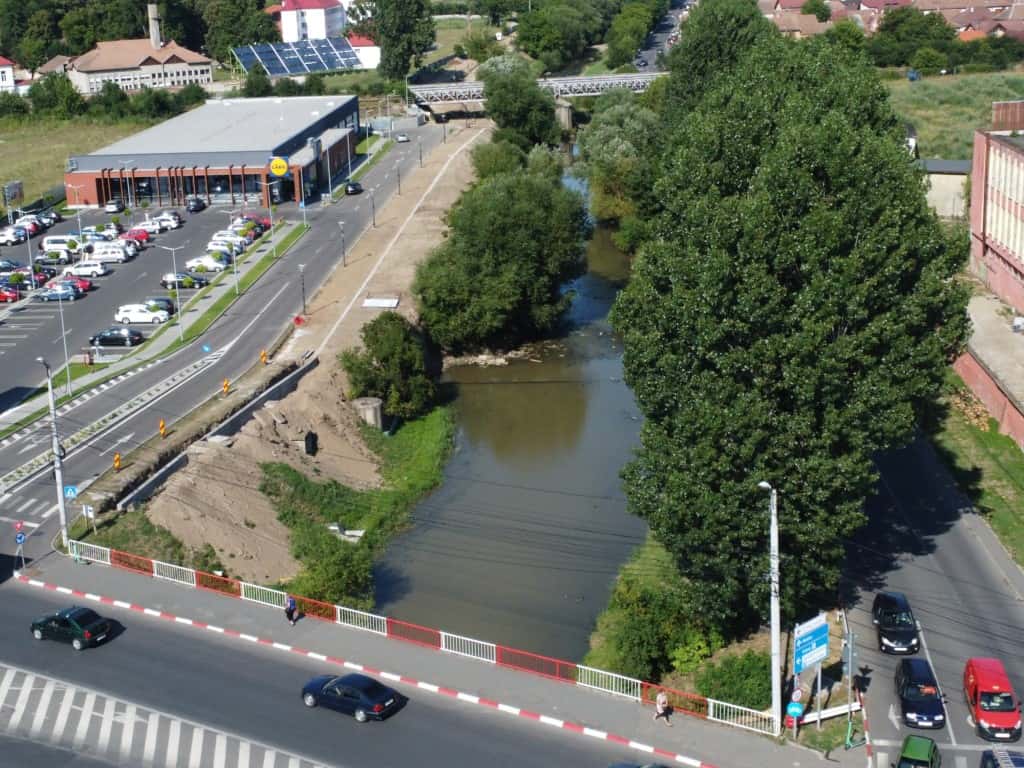 video - galerie foto malul cibinului, mai sărac în sălcii - „puteau pune în pericol circulația pe noua pistă de biciclete”