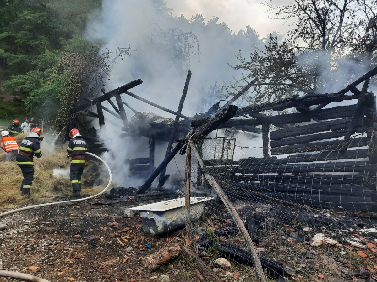 șură din tălmăcel, în flăcări - mai multe animale au fost salvate din incendiu