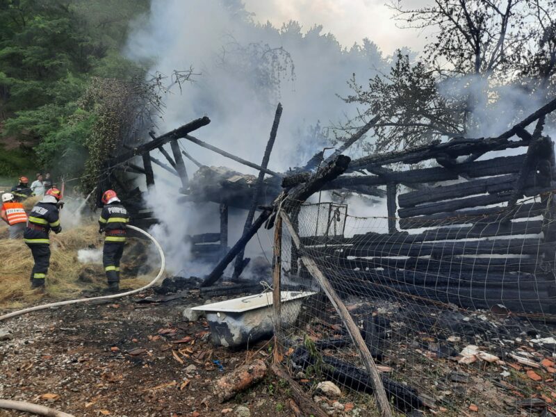 Șură din Tălmăcel, în flăcări - Mai multe animale au fost salvate din incendiu