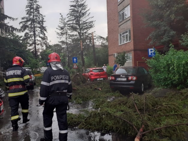 ploaia a făcut ravagii la vâlcea - copaci și acoperișuri smulse de vânt în doar câteva minute