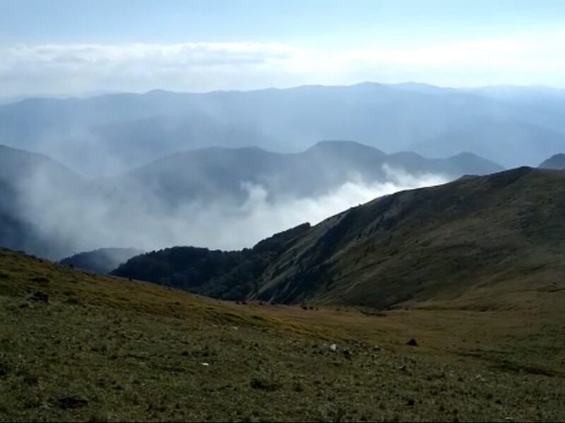 Incendiu într-o pădure de pe Valea Oltului - Pompierii se luptă cu flăcările de peste 12 ore