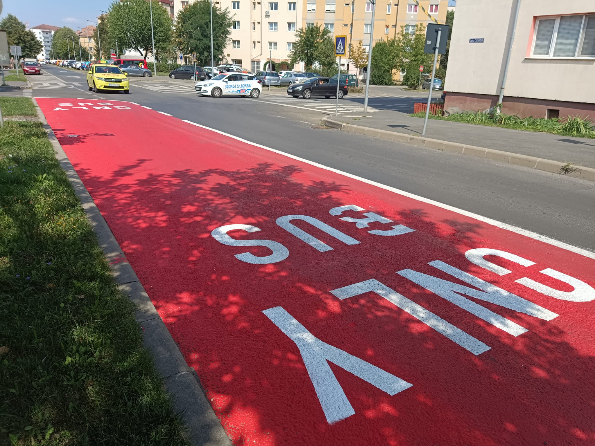 FOTO VIDEO Nou la Sibiu - Bandă specială pentru autobuze în locul locurilor de parcare pe Calea Cisnădiei - Amenzi pentru cei care nu respectă marcajul