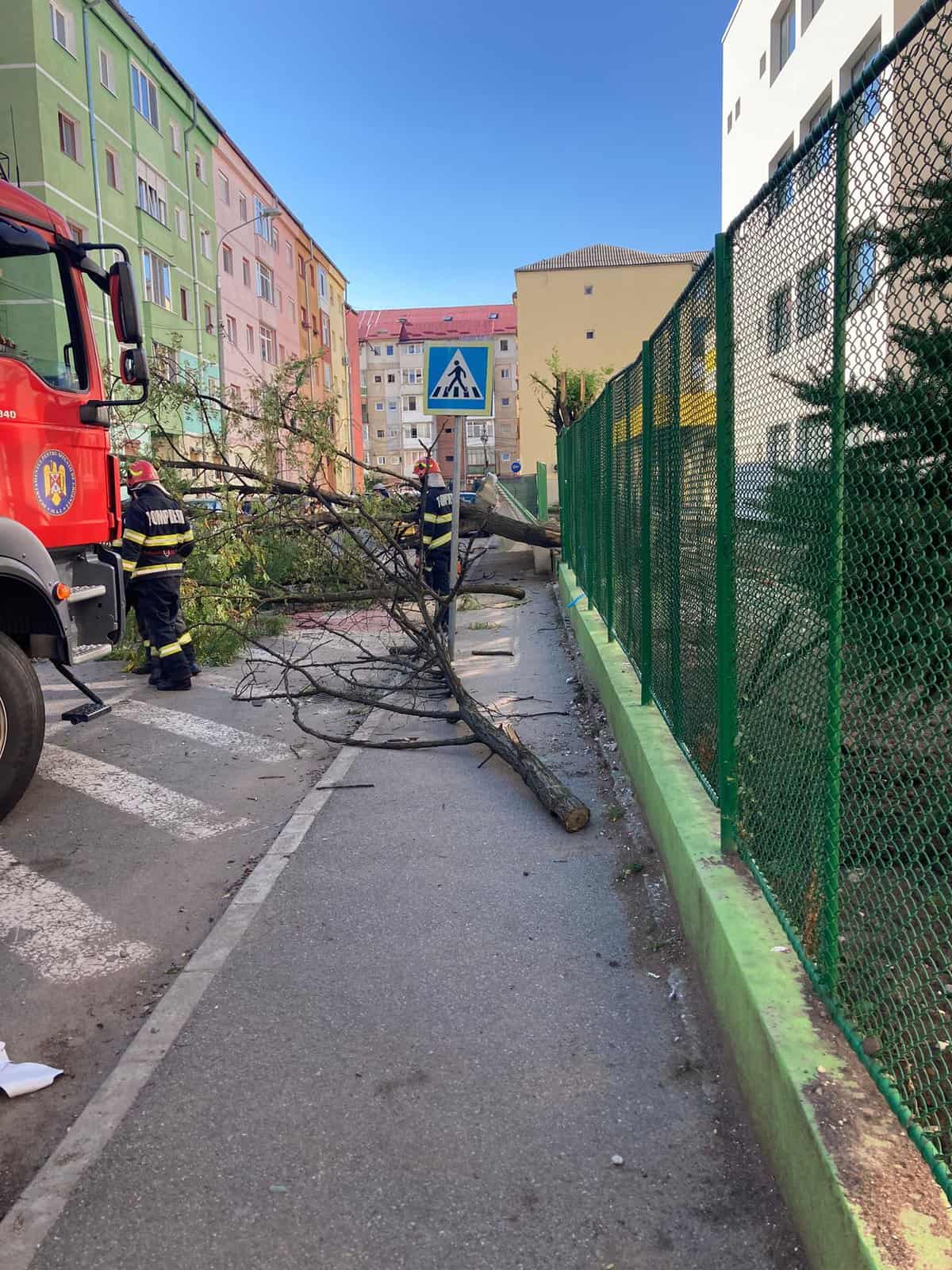 copaci căzuți pe străzile din sibiu și un incendiu din cauza furtunii - pompierii au avut sute de solicitări în weekend