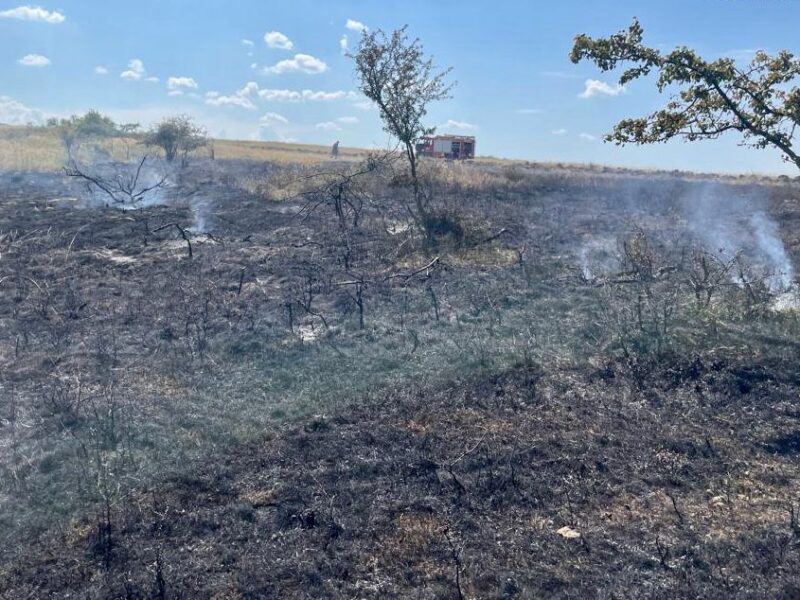 nouă incendii de vegetație în weekend în județul sibiu - peste 11 hectare de teren, afectate