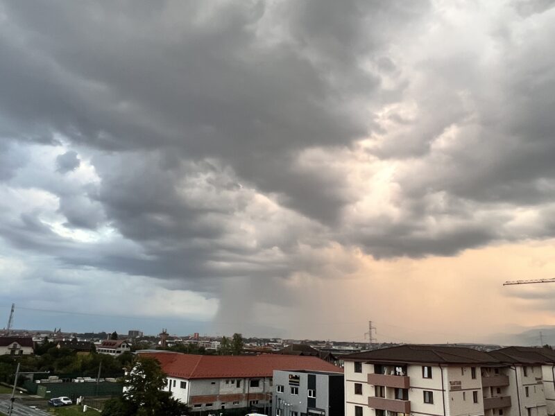 cod galben de ploi în zona de munte a sibiului