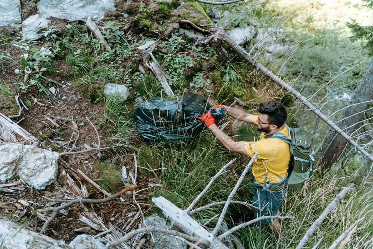 video foto ecologizarea potecilor din județul sibiu continuă cu a doua drumețenie în stațiunea păltiniș