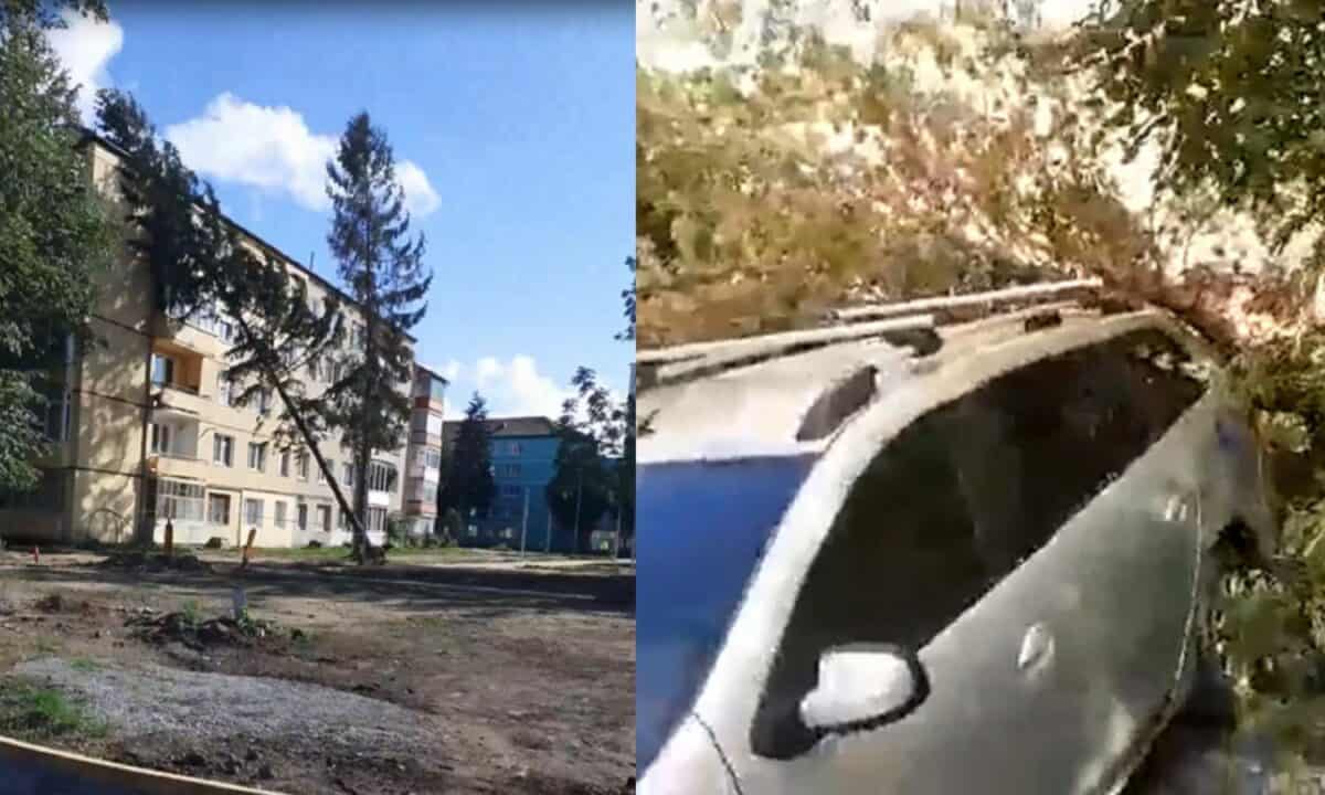 video copaci căzuți pe mașini și pe un bloc în terezian - „au tăiat rădăcinile să pună borduri”