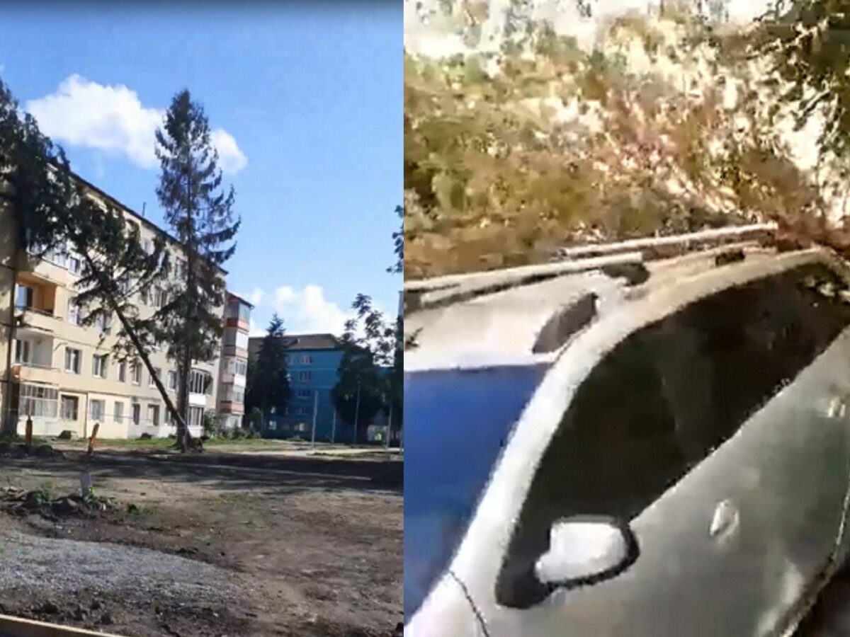 VIDEO Copaci căzuți pe mașini și pe un bloc în Terezian - „Au tăiat rădăcinile să pună borduri”