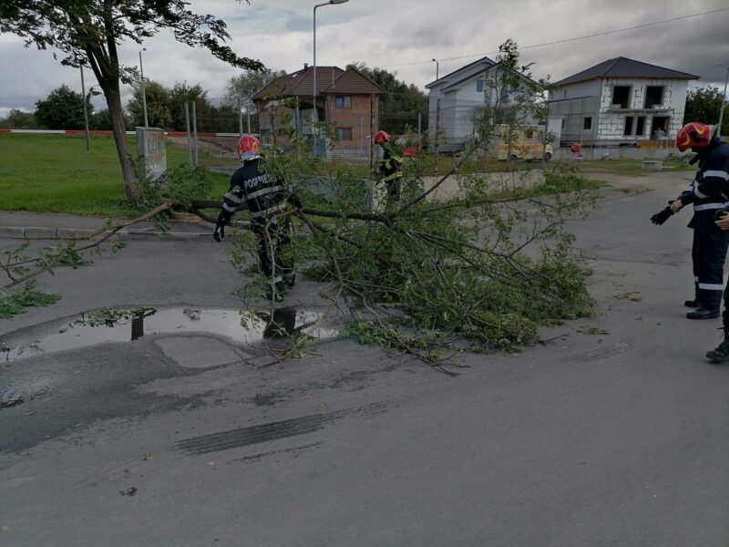 Foto - Vântul a făcut ravagii la Sibiu - Mai mulți copaci doborâți la pământ, iar unul a căzut pe o mașină