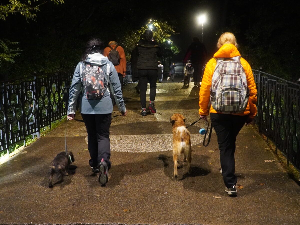 VIDEO FOTO - A patra altfel de plimbare cu câini prin parc - Deborah Faoro, inițiatoarea proiectului: „Câinele are nevoie de stimulare fizică, psihică, dar și emoțională”