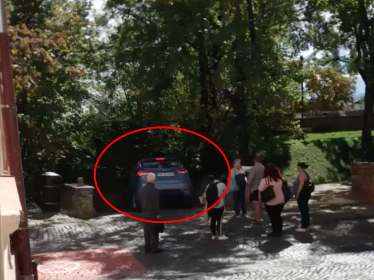 VIDEO: Șofer din Prahova, cu mașina pe scările din Parcul Cetății - „Poate așa l-a pus GPS-ul”