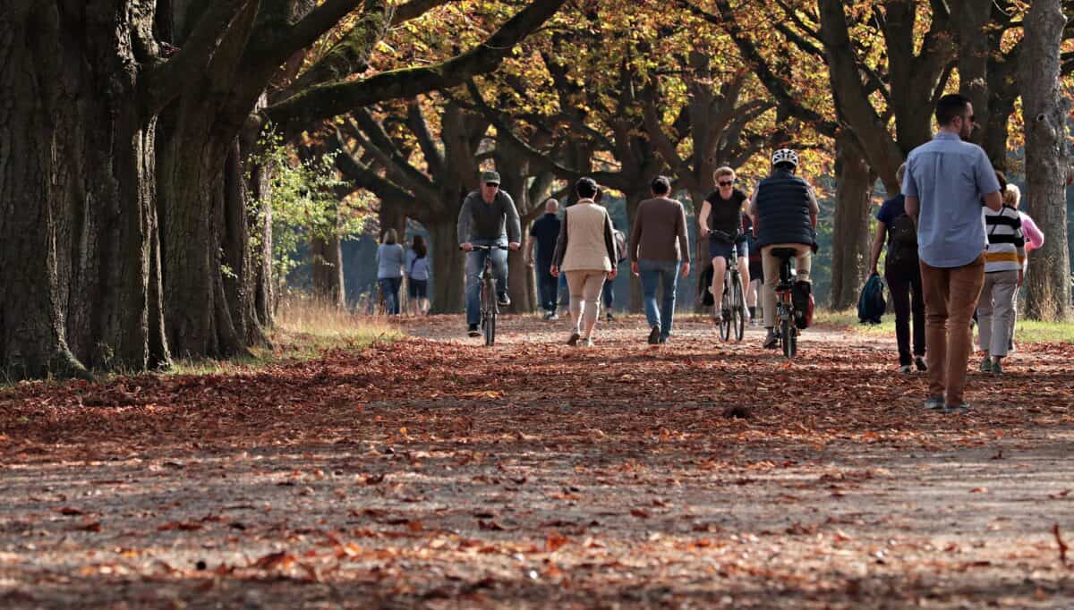 toamna biciclete parc