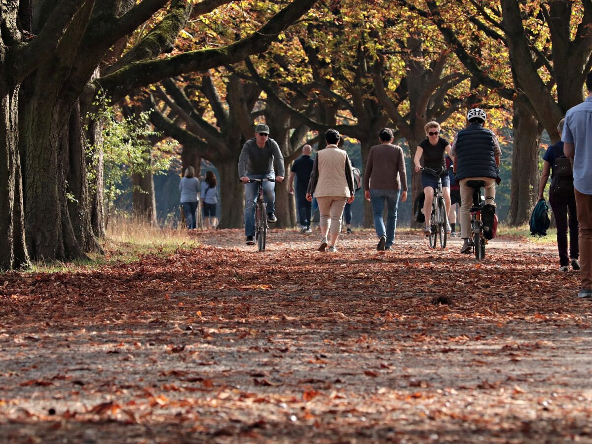 toamna biciclete parc